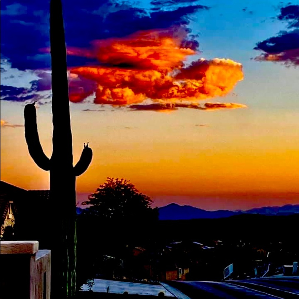 Meet your Posher, Lorin